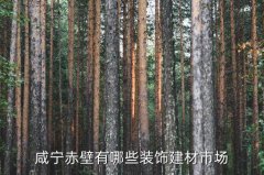 <b>具温肾、益精、补气、养血之功能.....鸭子怎样叫</b>